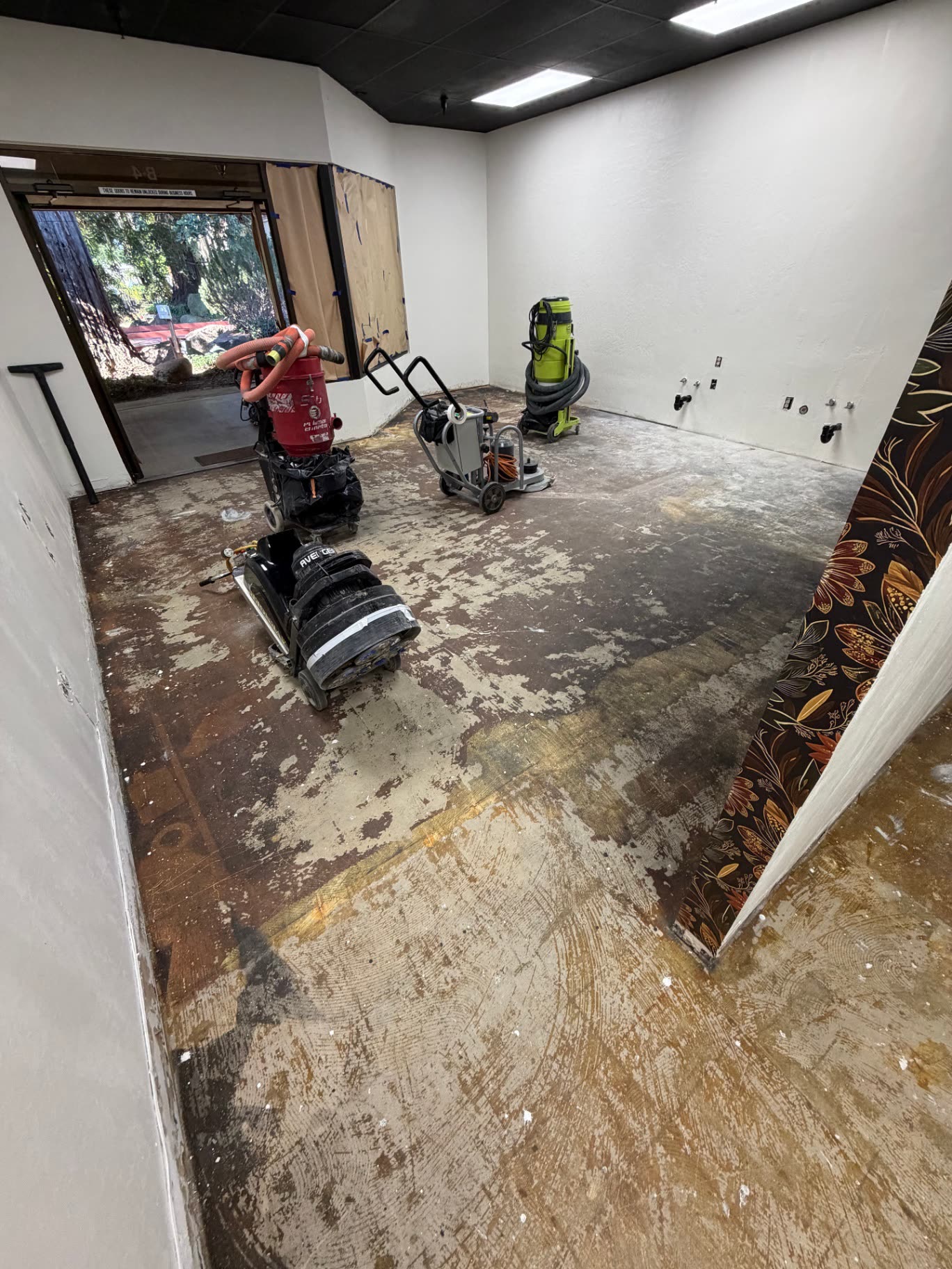 Commercial suite with old adhesive being ground off the concrete floor